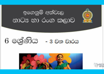 Grade 06 Drama Short Note in Sinhala(3rd Term)