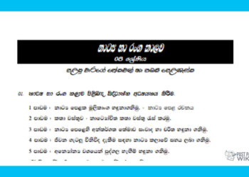 Grade 08 Drama Short Note in Sinhala(1st Term)