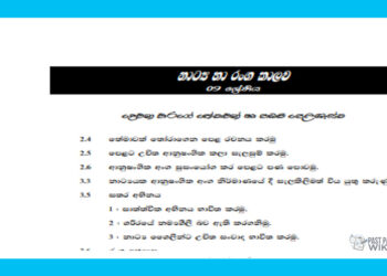 Grade 09 Drama Short Note in Sinhala(2nd Term)