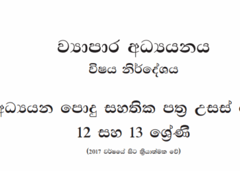Grade 12 Business Studies Syllabus in Sinhala medium PDF Download