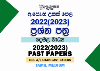 2022(2023) A/L Past Papers and Marking Schemes(Tamil Medium)