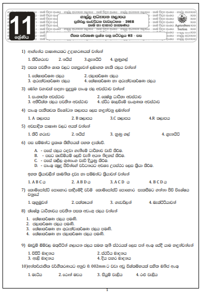 Grade 11 Agriculture Lesson 03 - Unit Test Papers with Answers