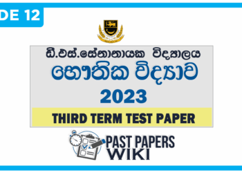 D.S. Senanayake College Physics 3rd Term Test paper 2023 - Grade 12