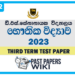 D.S. Senanayake College Physics 3rd Term Test paper 2023 - Grade 12