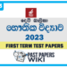 Devi Balika Vidyalaya Physics 1st Term Test paper 2023 - Grade 13