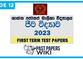 Mahanama College Physics 1st Term Test paper 2023 - Grade 13