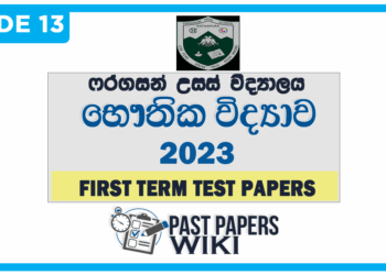 Ferguson High School Physics 1st Term Test paper 2023 - Grade 13