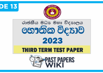 Royal Central College Physics 3rd Term Test paper 2023 - Grade 13