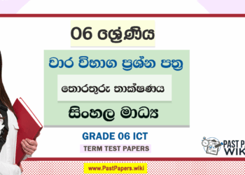 Grade 06 ICT Term Test Papers | Sinhala Medium