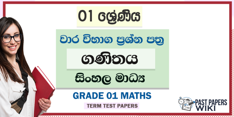 Grade 01 Maths Term Test Papers | Sinhala Medium