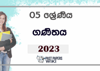 Grade 05 Maths Term Test Paper 2023 | Central Province