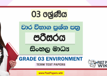 Grade 03 Environment Term Test Papers | Sinhala Medium