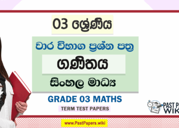 Grade 03 Maths Term Test Papers | Sinhala Medium