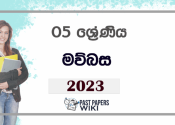 Grade 05 Sinhala Term Test Paper 2023 | Kebithigollewa Zone