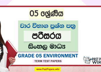 Grade 05 Environment Term Test Papers | Sinhala Medium
