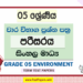 Grade 05 Environment Term Test Papers | Sinhala Medium