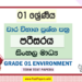 Grade 01 Environment Term Test Papers | Sinhala Medium
