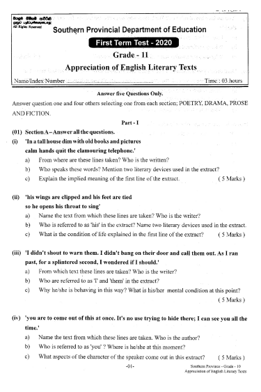 Grade 11 Appreciation of English Literary Texts 1st Term Test Paper 2020 - Southern Province