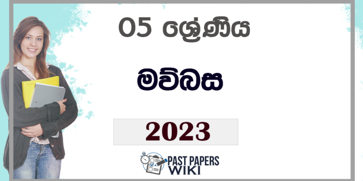 Grade 06 Sinhala Recovered 750x375 