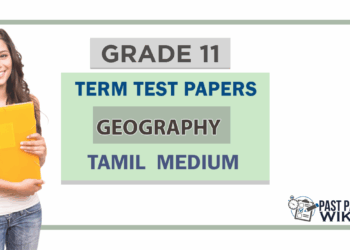 Grade 11 Geography Term Test Papers | Tamil Medium