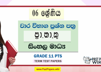 Grade 06 PTS Term Test Papers | Sinhala Medium
