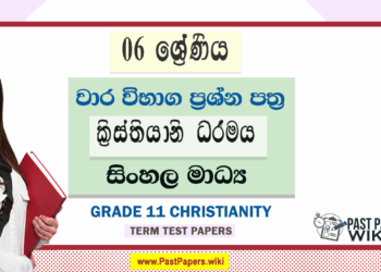 Grade 06 Christianity Term Test Papers | Sinhala Medium