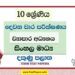 2022 Grade 10 Business Studies 2nd Term Test Paper | Sinhala Medium