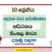 2022 Grade 10 Dancing 2nd Term Test Paper | Sinhala Medium