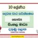 2022 Grade 10 Health 2nd Term Test Paper | Sinhala Medium