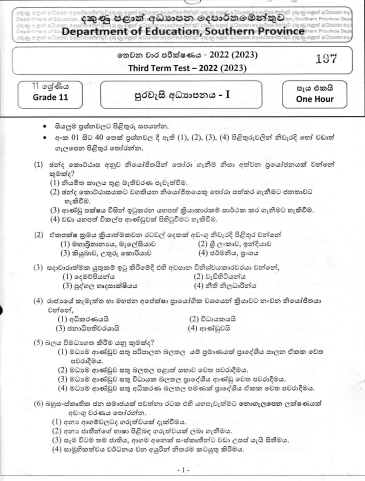 2022 Grade 11 Civic Education 3rd Term Test Paper | Sinhala Medium