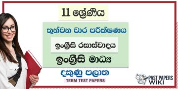 2022 Grade 11 English Literature 3rd Term Test Paper | English Medium