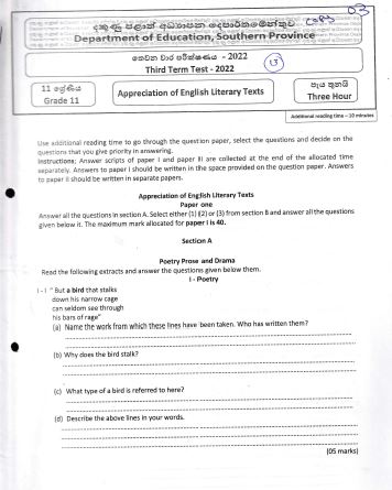 2022 Grade 11 English Literature 3rd Term Test Paper | English Medium