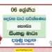 2022 Grade 06 Health 2nd Term Test Paper | Sinhala Medium