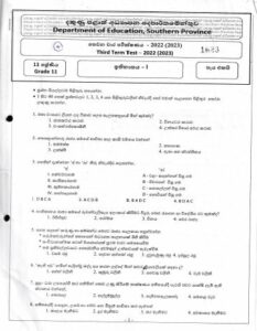 grade 11 history essays pdf 2022 term 3