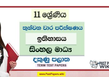 2022 Grade 11 History 3rd Term Test Paper | Sinhala Medium