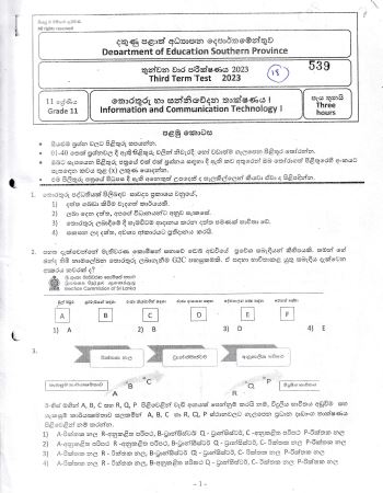 2022 Grade 11 ICT 3rd Term Test Paper | Sinhala Medium