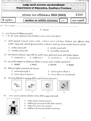 2022 Grade 06 Health 3rd Term Test Paper | Sinhala Medium