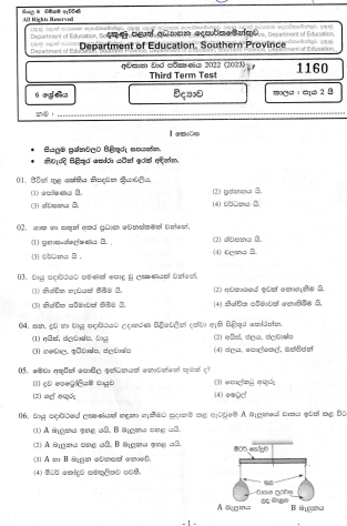 2022 Grade 06 Science 3rd Term Test Paper | Sinhala Medium