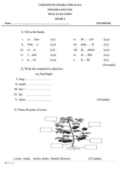 2023 Grade 04 English 3rd Term Test Paper | Kolonnawa Balika Vidyalaya