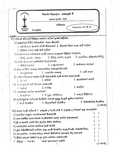 2019 Grade 04 Environment 2nd Term Test Paper | Visakha Vidyalaya 