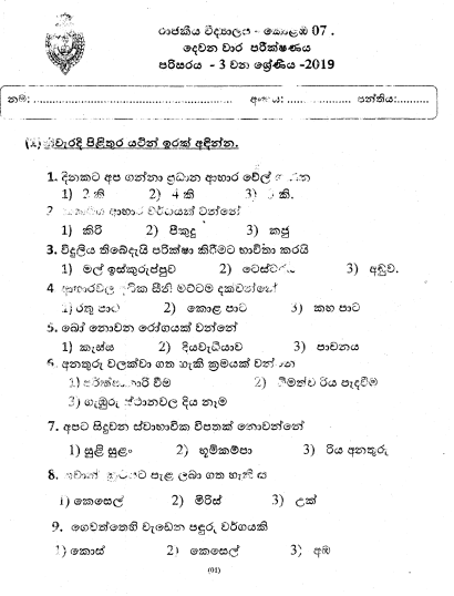 2019 Grade 03 Environment 2nd Term Test Paper | Royal College