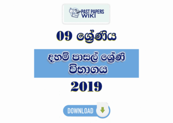 Grade 09 Daham Pasal Exam Past Paper with Answers 2019