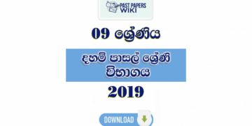 Grade 09 Daham Pasal Exam Past Paper with Answers 2019