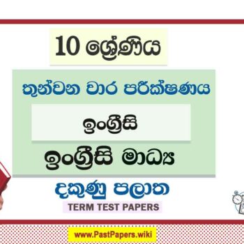 2022 Grade 10 English Literature 3rd Term Test Paper | English Medium