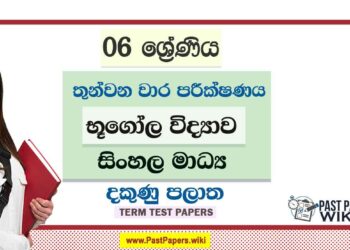 2022 Grade 06 Geography 3rd Term Test Paper | Sinhala Medium