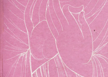 Daham Pasal Final Certificate Examination Textbook - Buddha Sanskruthiya