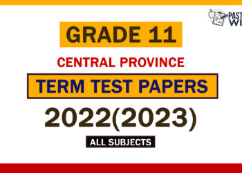 2022(2023) Central Provi2022(2023) Central Province Grade 11 3rd Term Test Papersnce Grade 11 3rd Term Test Papers