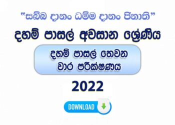 Daham Pasal Awasanaya 2nd Term Test Paper with Answers 2022