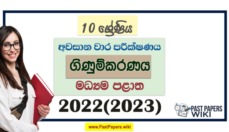 2022(2023) Grade 10 Business And Accounting Studies 3rd Term Test Paper | Central Province