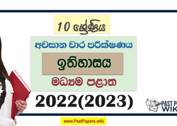 2022(2023) Grade 10 History 3rd Term Test Paper Central Province